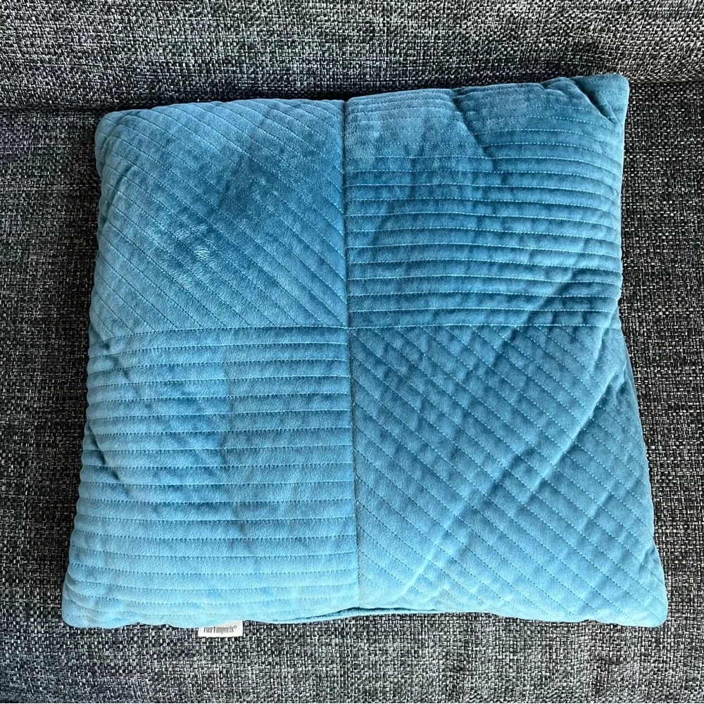 Pier 1 Imports Velvet Throw Pillows- set of 2